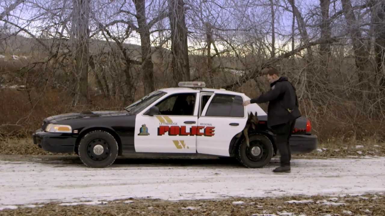 Rick Semenuik, Criminal Justice