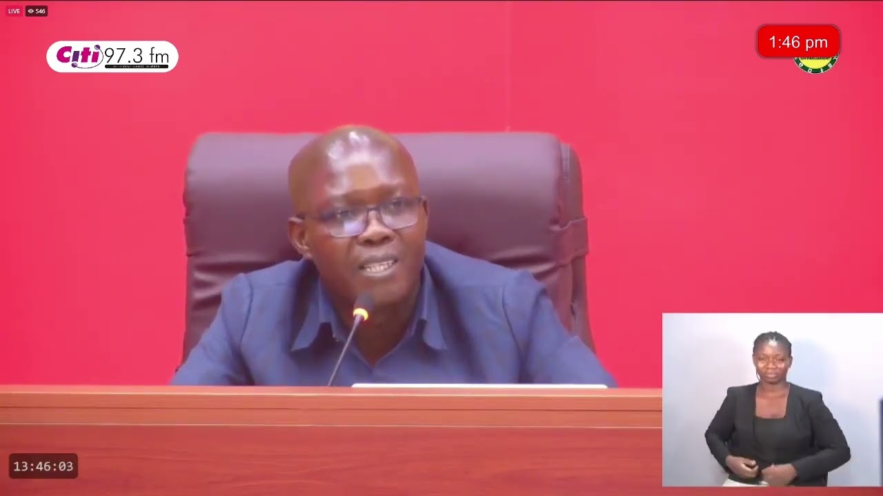 Afenyo-Markin, Sammi Awuku, Tampuli & Others Clash Over Jobs, Healthcare & IMF Report | Full Session