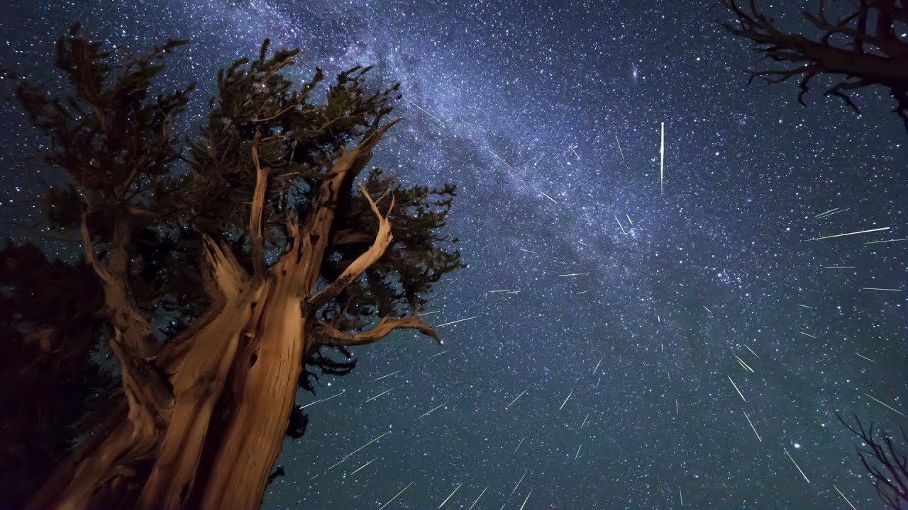 Bright Meteors Time-Lapse Collection