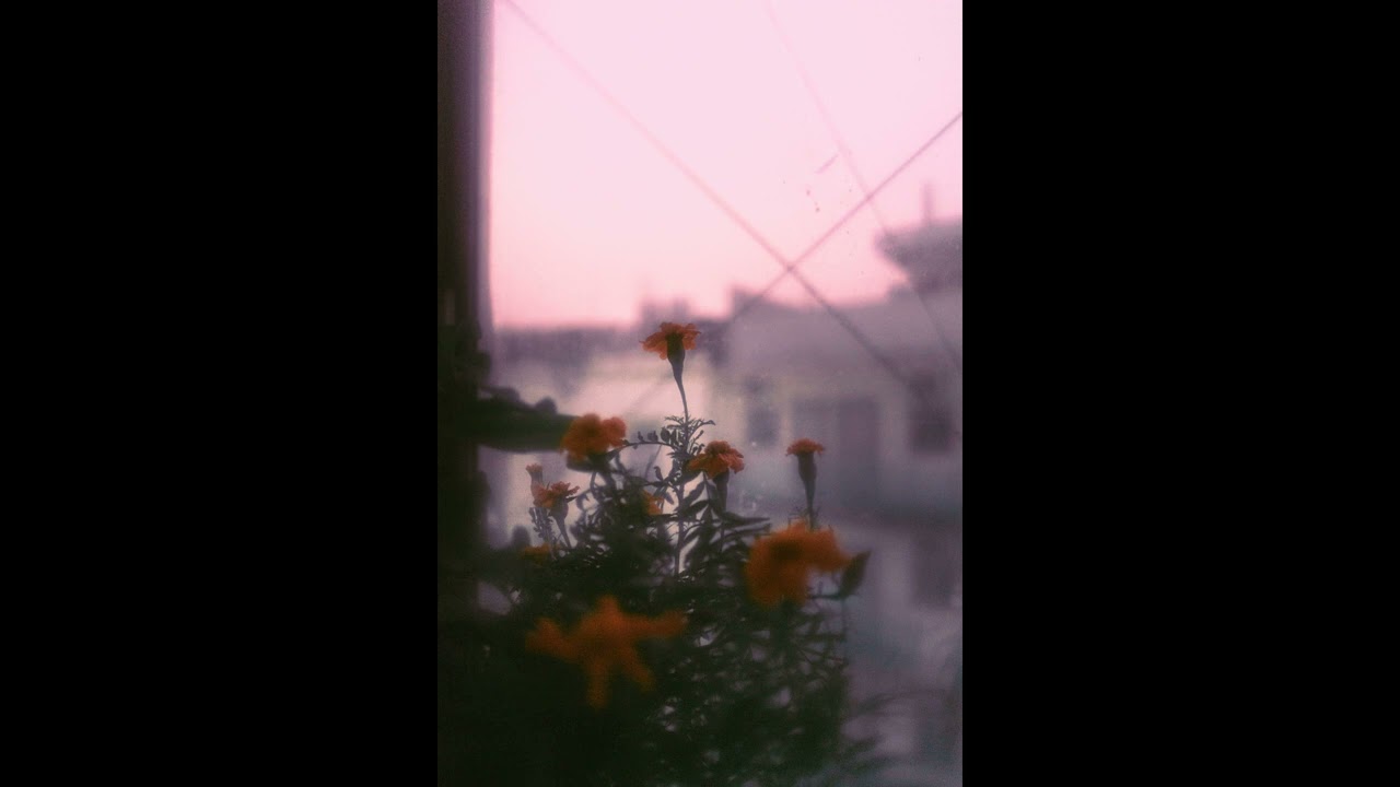 No. 20 — 🌙 Dreamy Lo‑fi Ambient