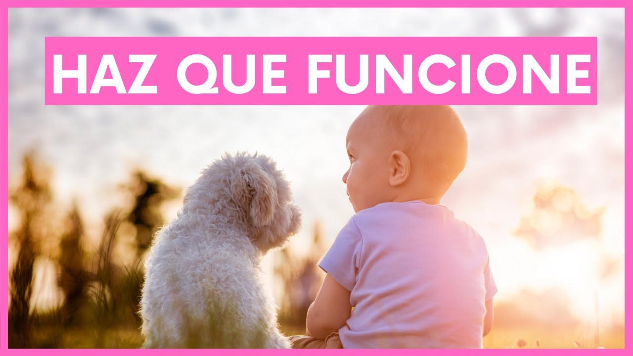 ▷🧑‍🍼🧸¿CÓMO debes PRESENTAR tu BEBÉ a tu PERRO?🎈