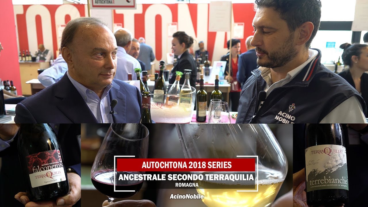 TerraQuila: Lambrusco Grasparossa + Pignoletto