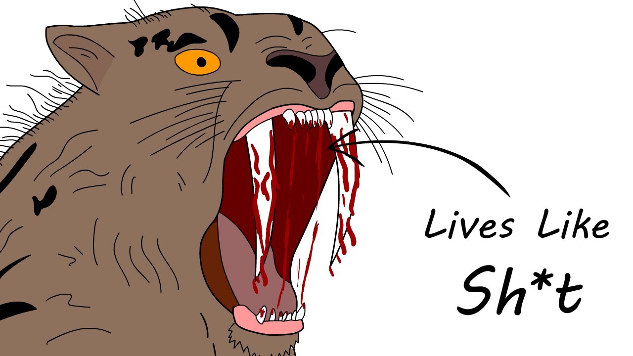 What It Sucks To Be Born as a Sabre-Toothed Cat