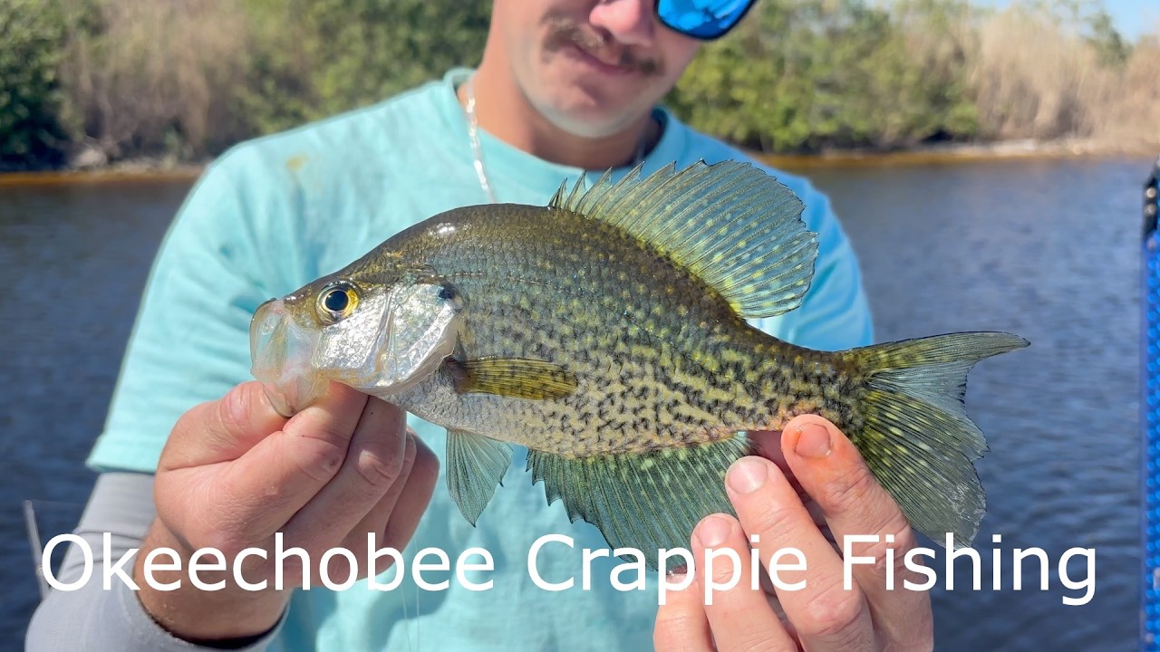Lake Okeechobee Crappie Fishing in February March