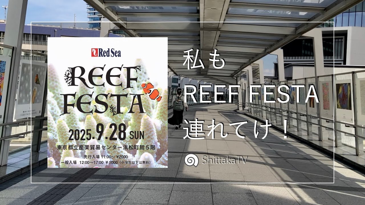 REEF FESTA参戦したぜ！No.089