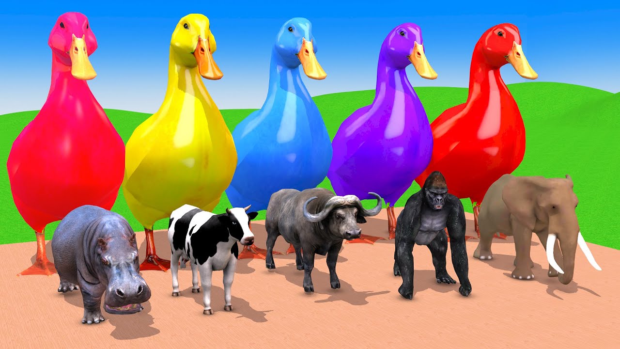 5 Giant Duck Cartoon,Tiger,Cow,Elephant,Lion,Gorilla, Paint Wild Animals Crossing Fountain Animation