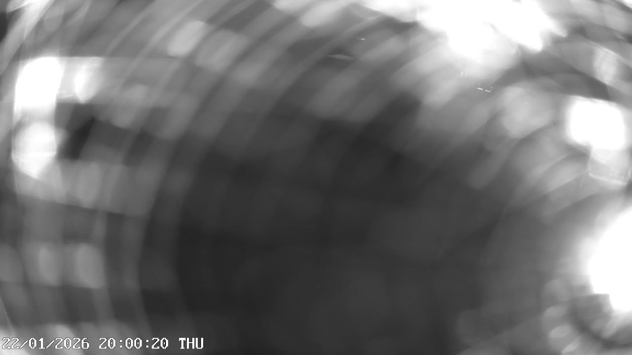 DSGC Cam 5 - Vehicle Apron