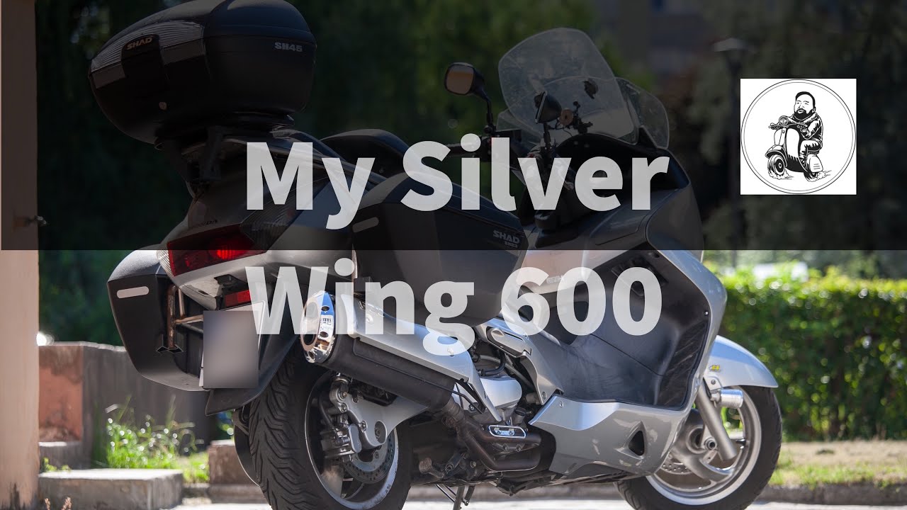 My Silver Wing 600