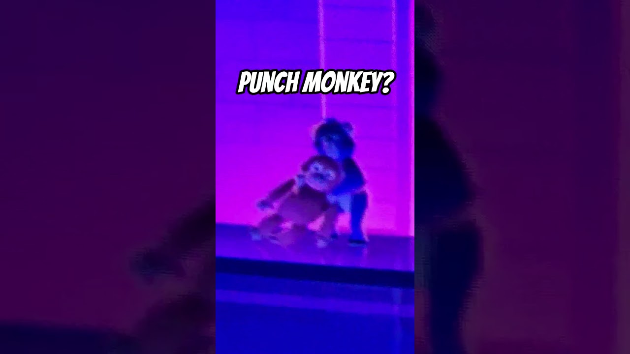 punch monkey is in my screen saver 😶