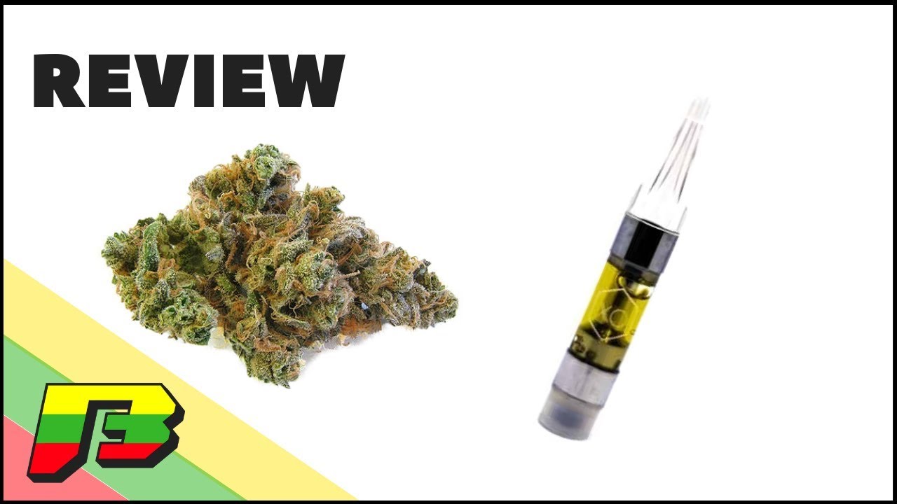 Blue Dream Cartridge Review | BammerTV