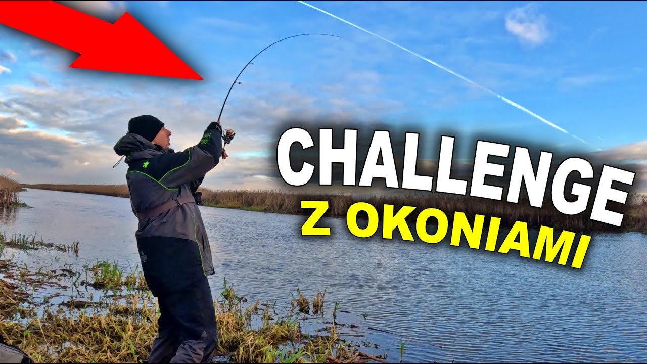 Zimowe okonie z brzegu - test wędki Diaflex speeder 2,16m 1-6g perch spinn