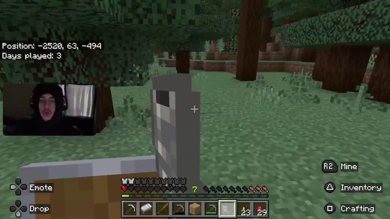 MONKEYY PLAYS THE CRAFT