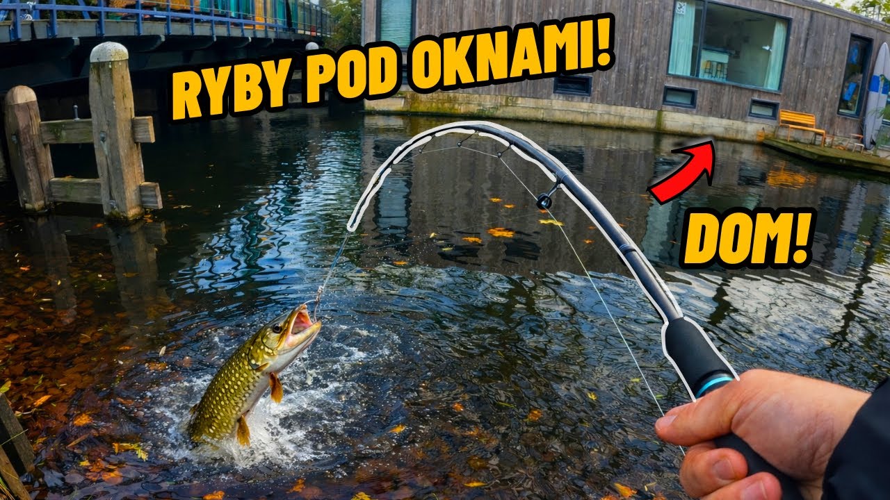 ŁOWIĘ RYBY W MIEŚCIE KOŁO DOMÓW - ALE DUŻA RYBA!