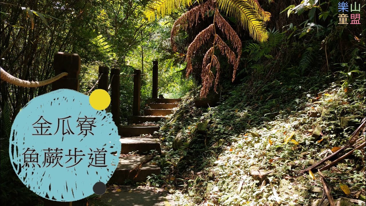 [新北坪林] 金瓜寮魚蕨步道 / Jingualiao Stream Fish And Fern Trail