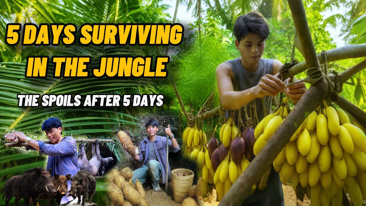 5 Days Surviving in the Jungle. Trapping Wild Boars, Catching Fish, and the Spoils That Amazed Me