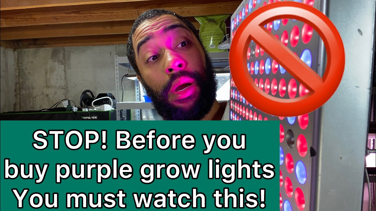 Want to  buy purple grow lights for your plants? STOP! watch this first