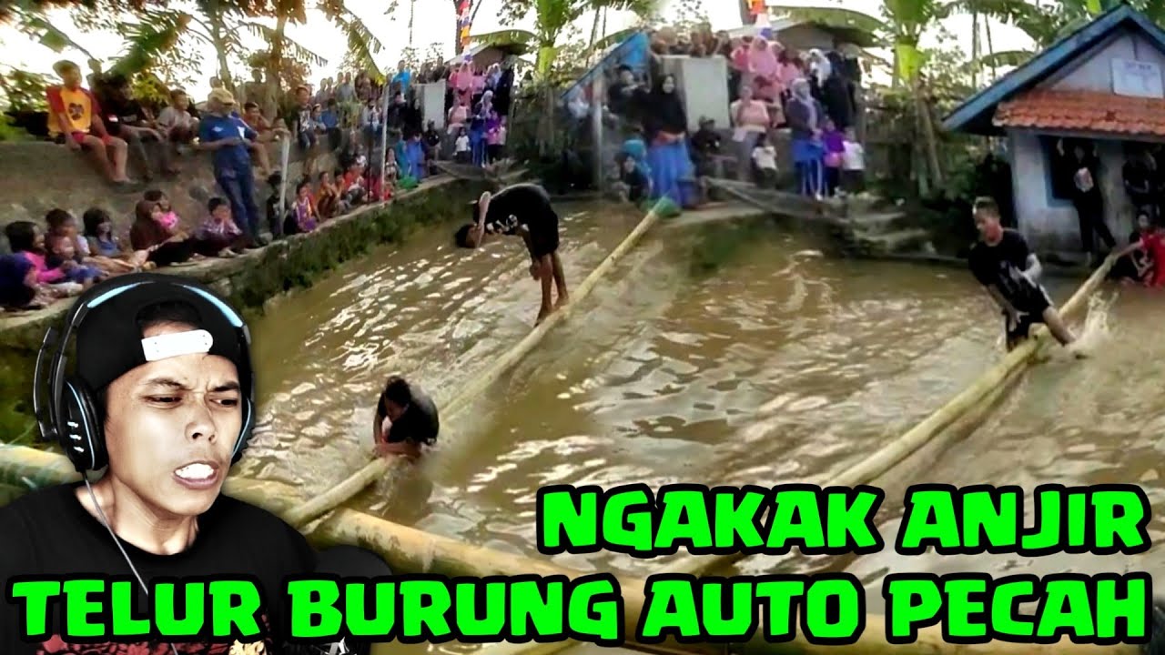 NGAKAK nonton lomba LINTAS BAMBU sampai telur burung nya auto pecah 😁