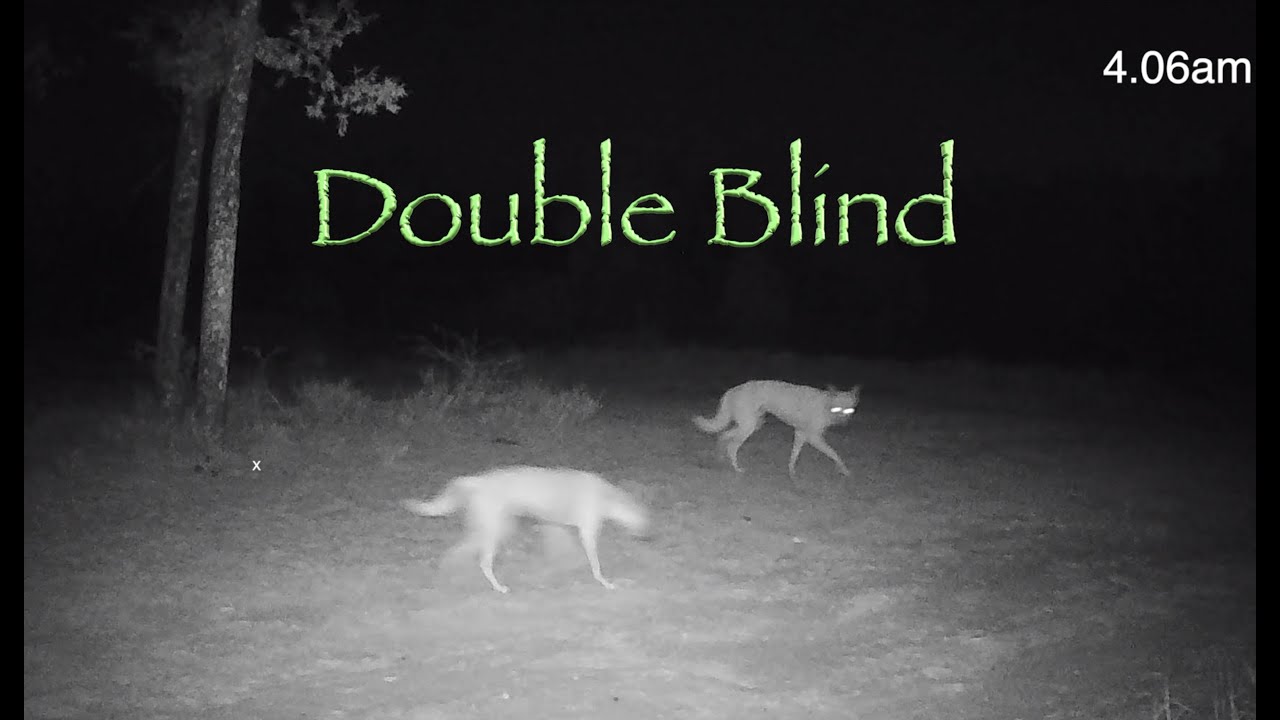 Double Blind