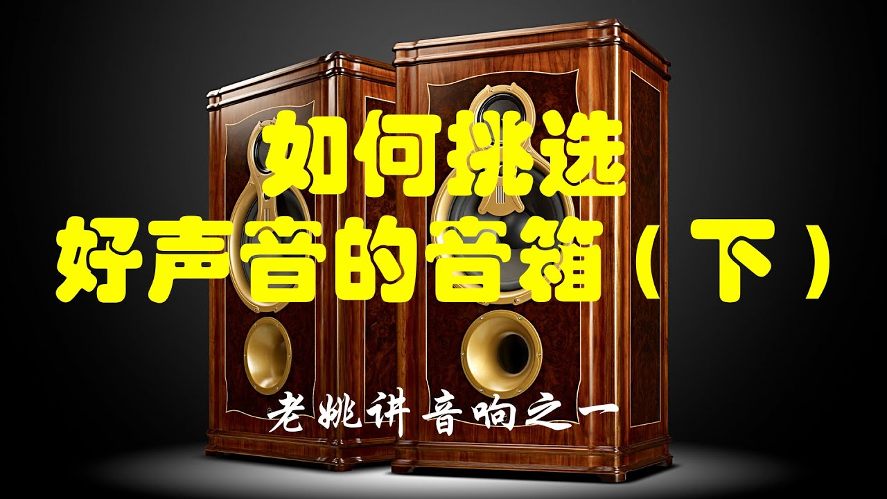 老姚讲音响之一 如何挑选好声音的音箱(下)2020Remix