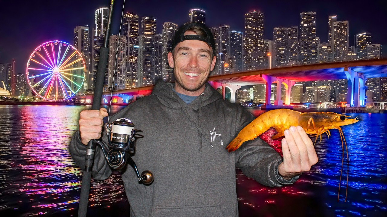 Chasing the Biggest Fish Possible in Urban Miami