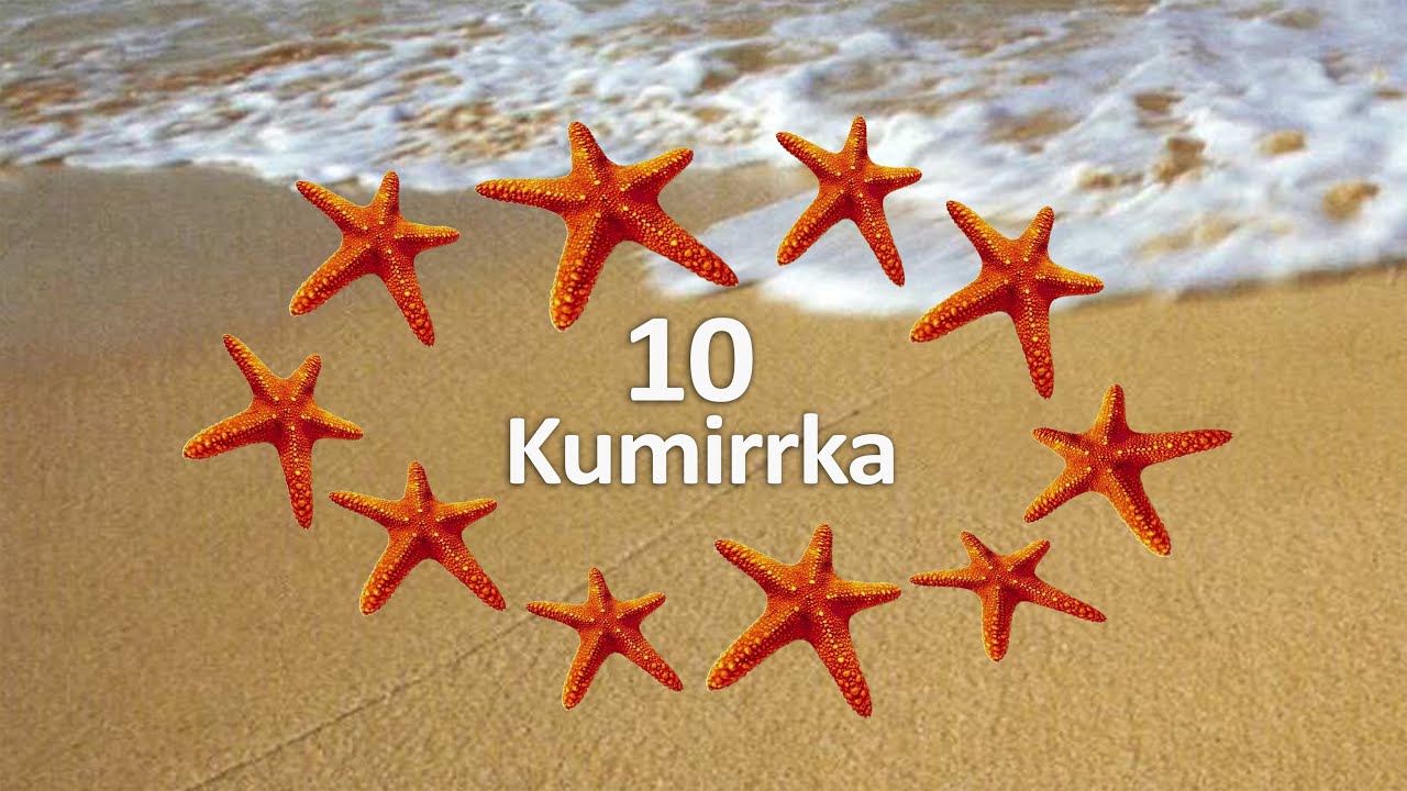 Kaurna for Kids - Numbers