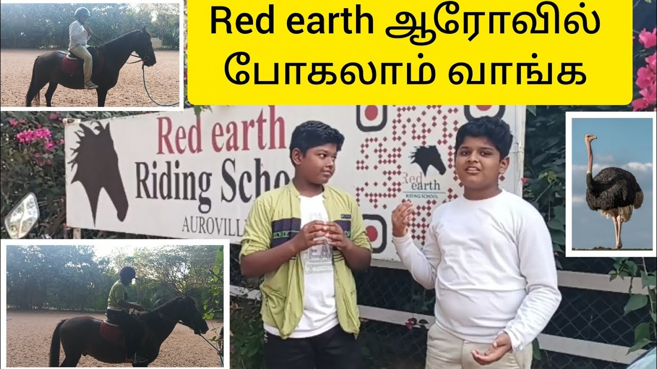 Red earth Riding School auroville / குதிரை பண்ணை போகலாம் வாங்க @vibe with RithiRose channel 