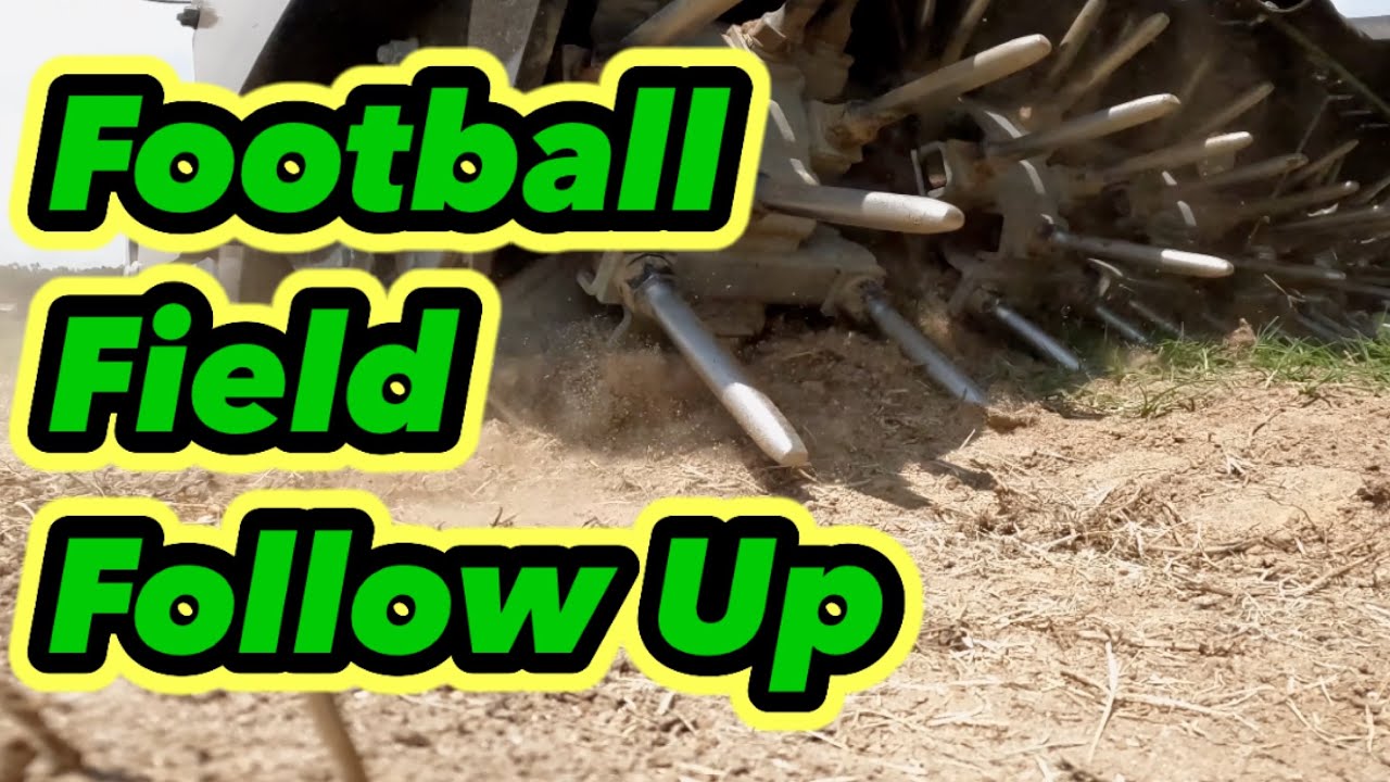 bermudagrass Football Field Grow In follow Up