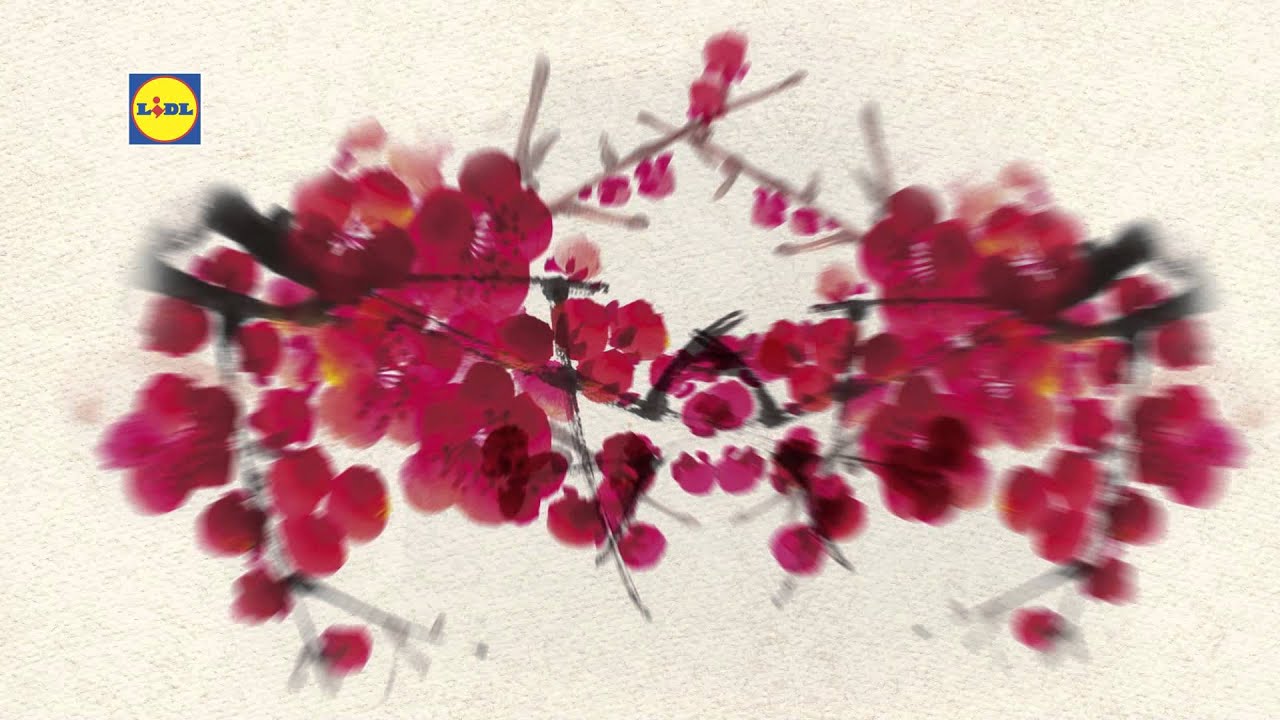 REKLAMA LIDL - Ázijský týždeň - od 28.01.