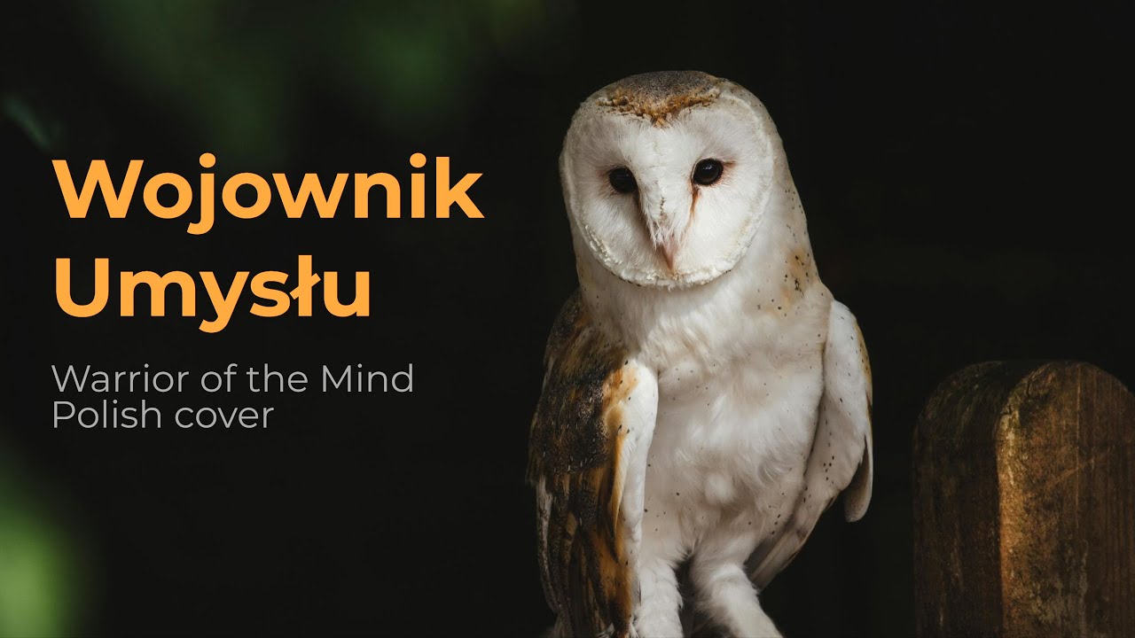 Wojownik umysłu (EPIC The Musical – Warrior of The Mind – Polish cover)