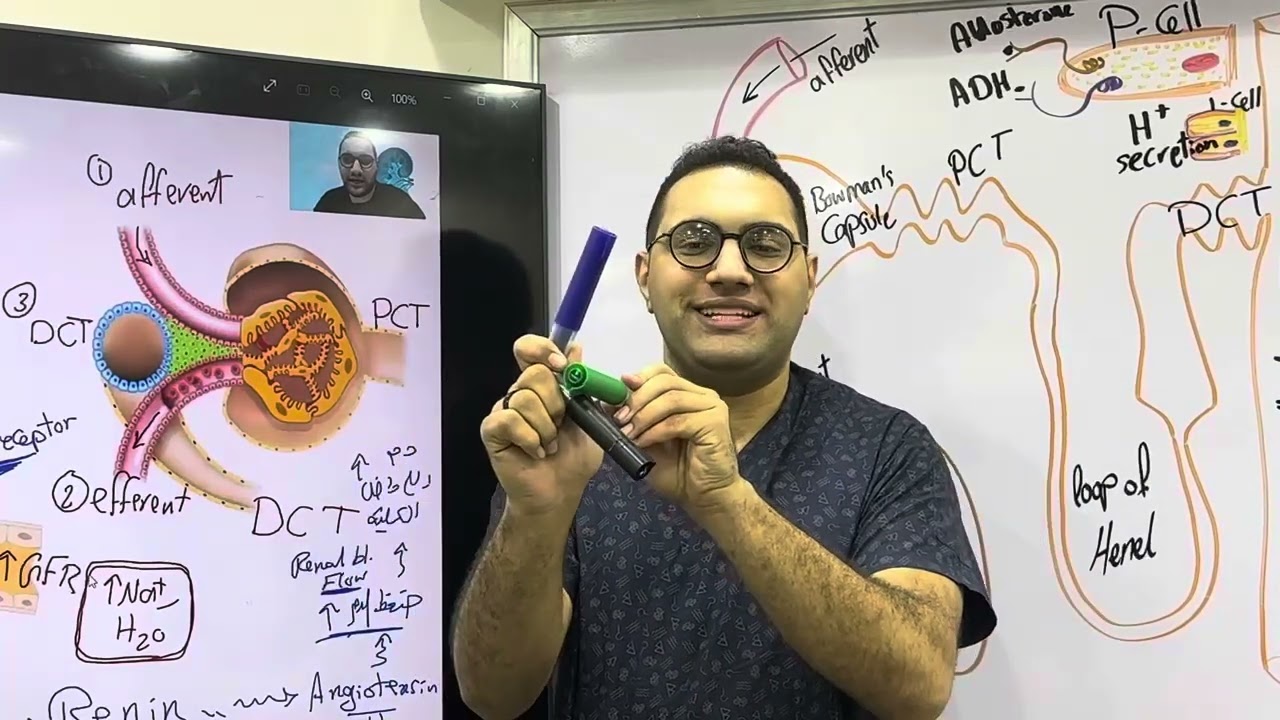 Renal Physiology -2 (القصر العيني ٢٠٢٤)