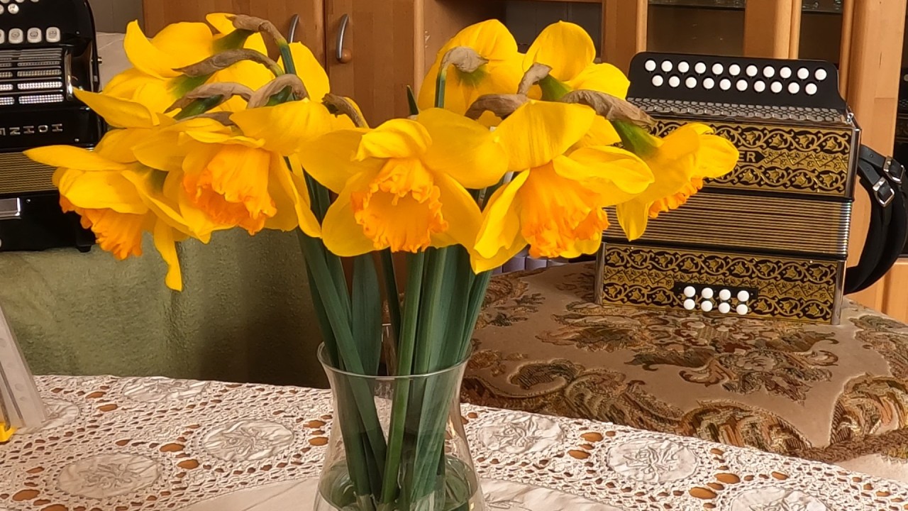 Wer nur den lieben Gott lässt walten - Handharmonika Musik