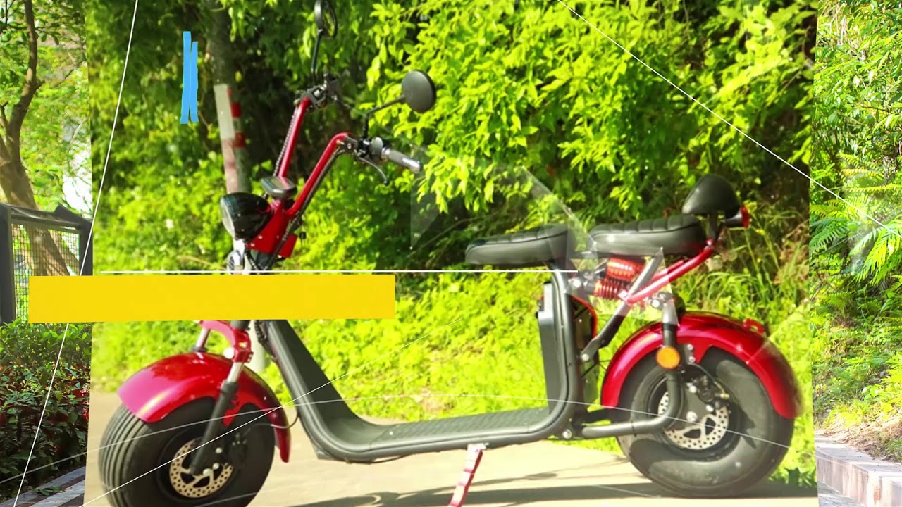 EcoRider ES 057 Citycoco EEC/COC Certificate Electric Scooter Harley Scooter