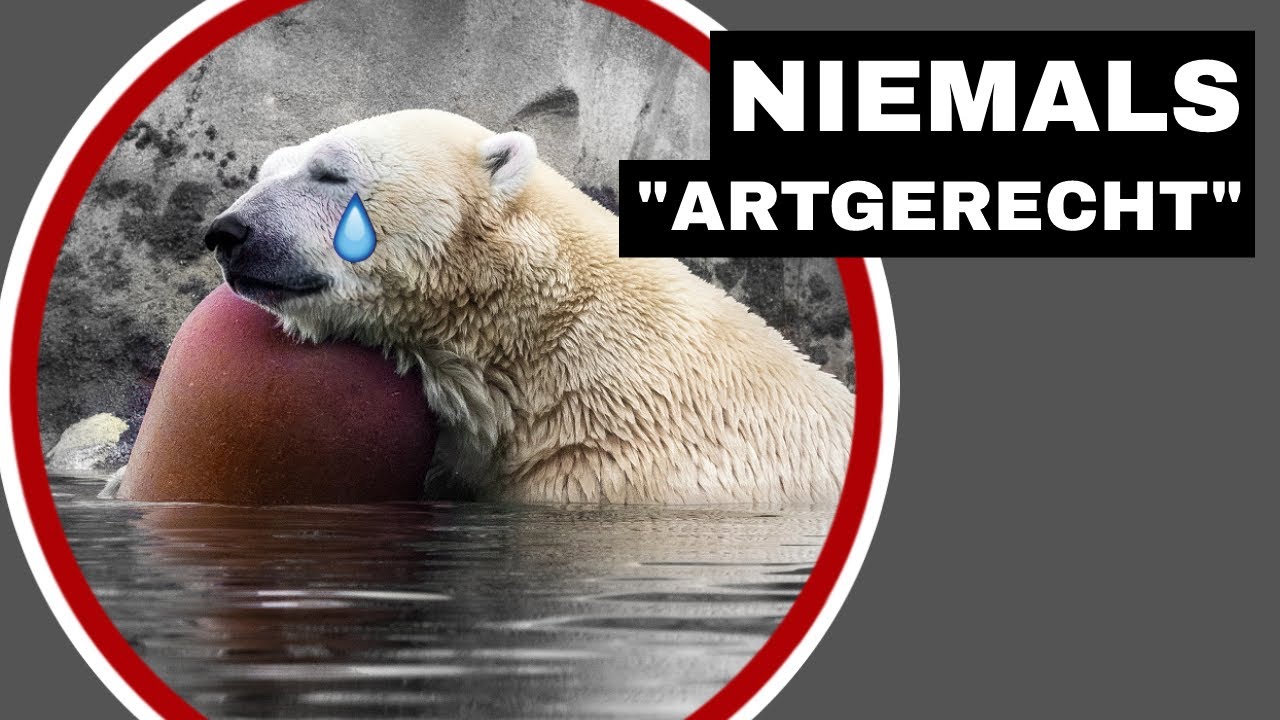 Zoos: Zwischen Artenschutz-Lügen und Doppelmoral