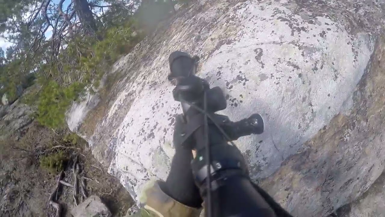 Hammer 7 Sniper paintball/woodsball