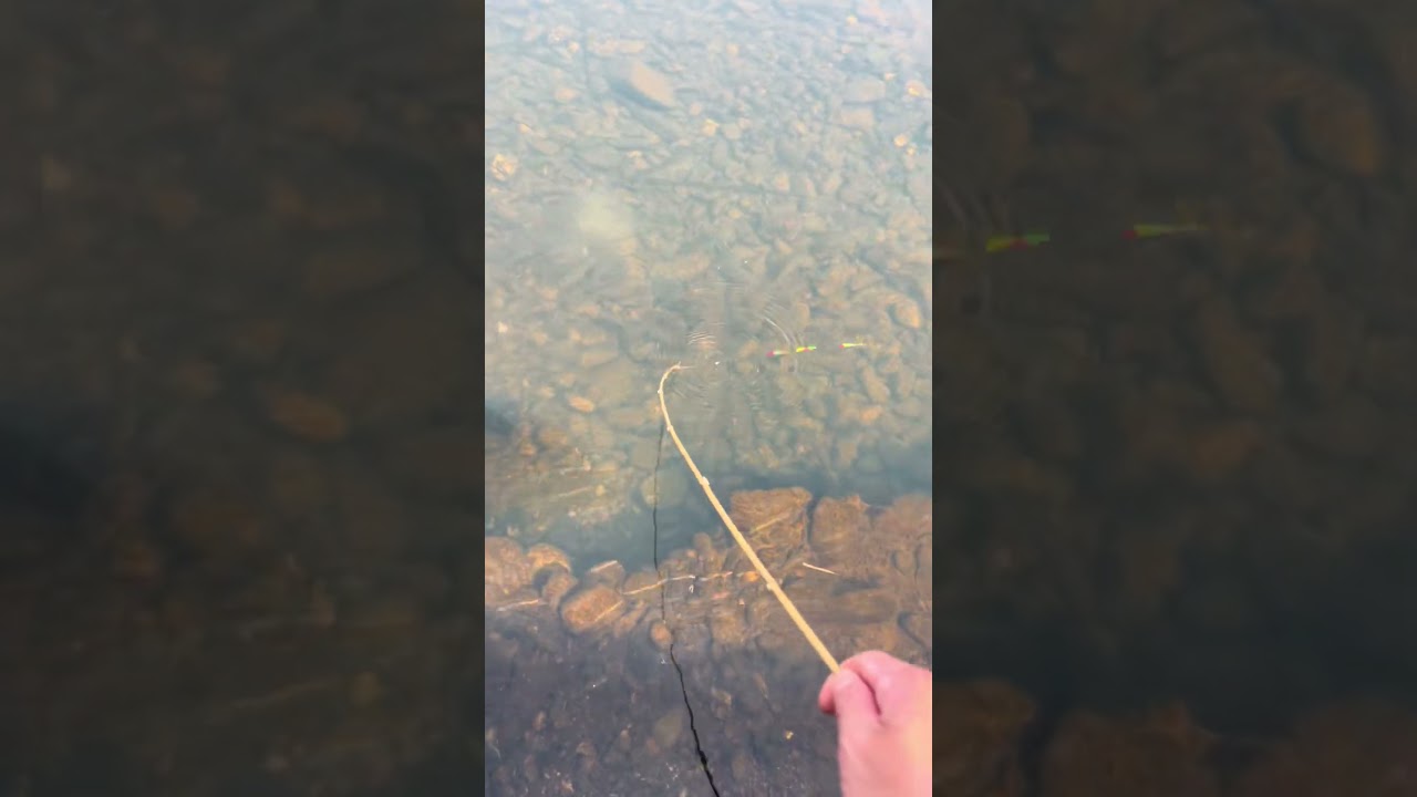 fishing with bamboo rod , It turns out that fishing is the top sport on