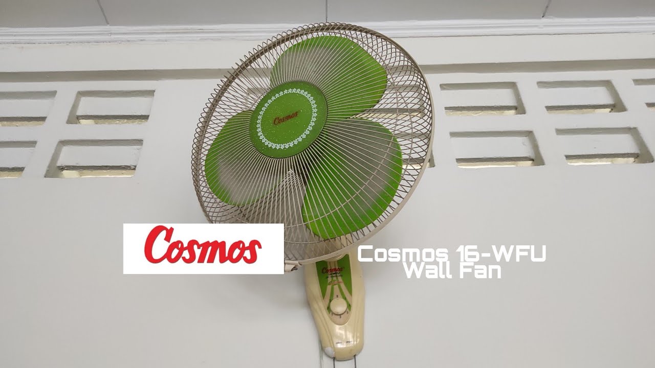 Old Cosmos Wall Fan (1 of 5 )