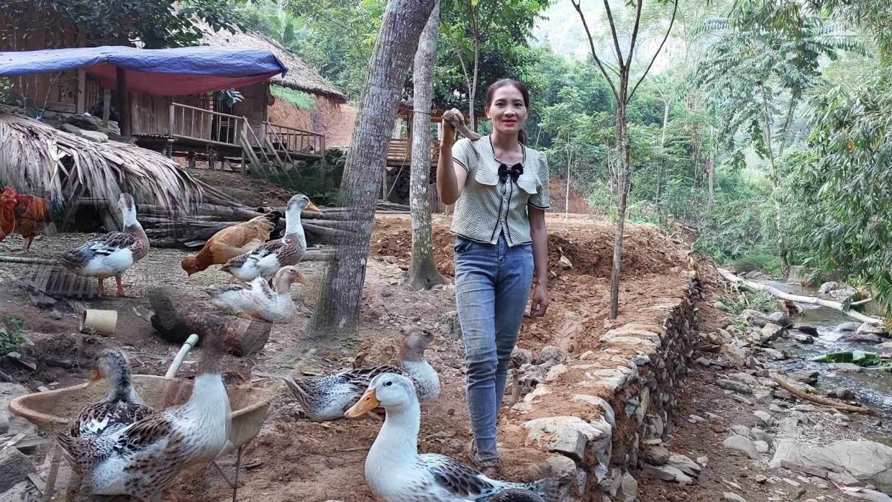 The Girl's Farm Construction Journey: Clearing Land and Building Embankments Along the River