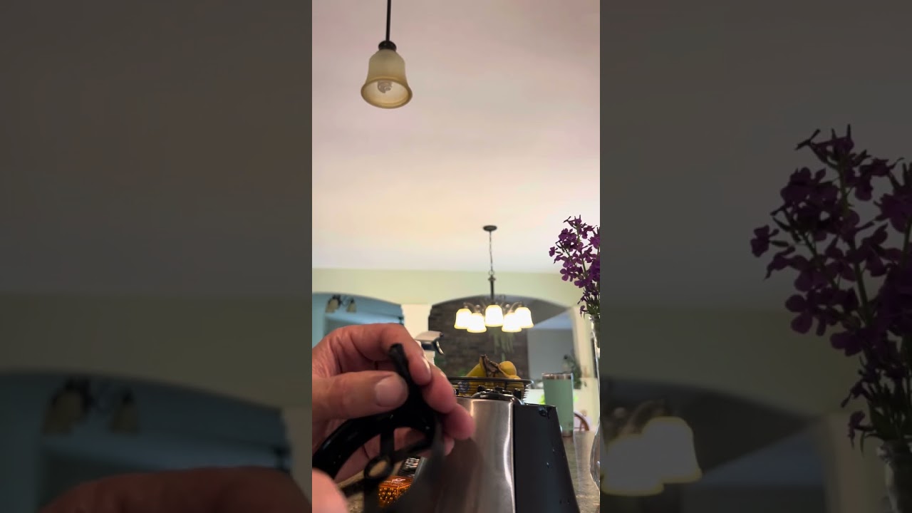 Ninja coffee maker drip stop malfunction fixed!