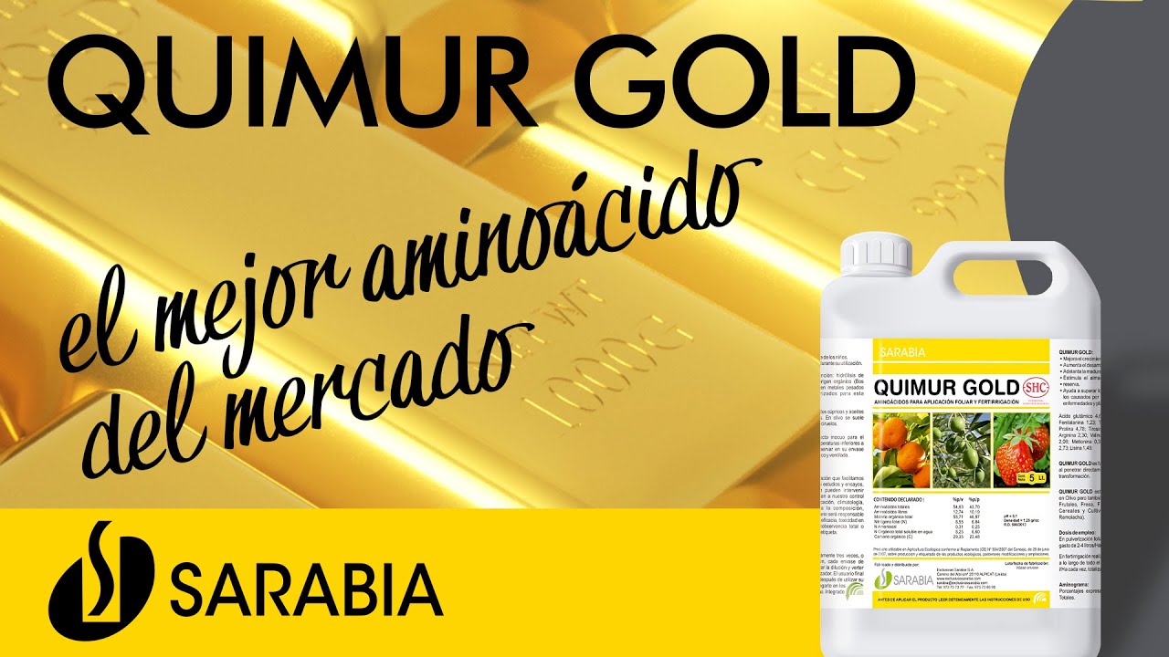 👉𝗤𝗨𝗜𝗠𝗨𝗥 𝗚𝗢𝗟𝗗 🟡el mejor AMINOÁCIDO del mercado [𝗦𝗮𝗿𝗮𝗯𝗶𝗮] ⭐️⭐️⭐️⭐️⭐️5