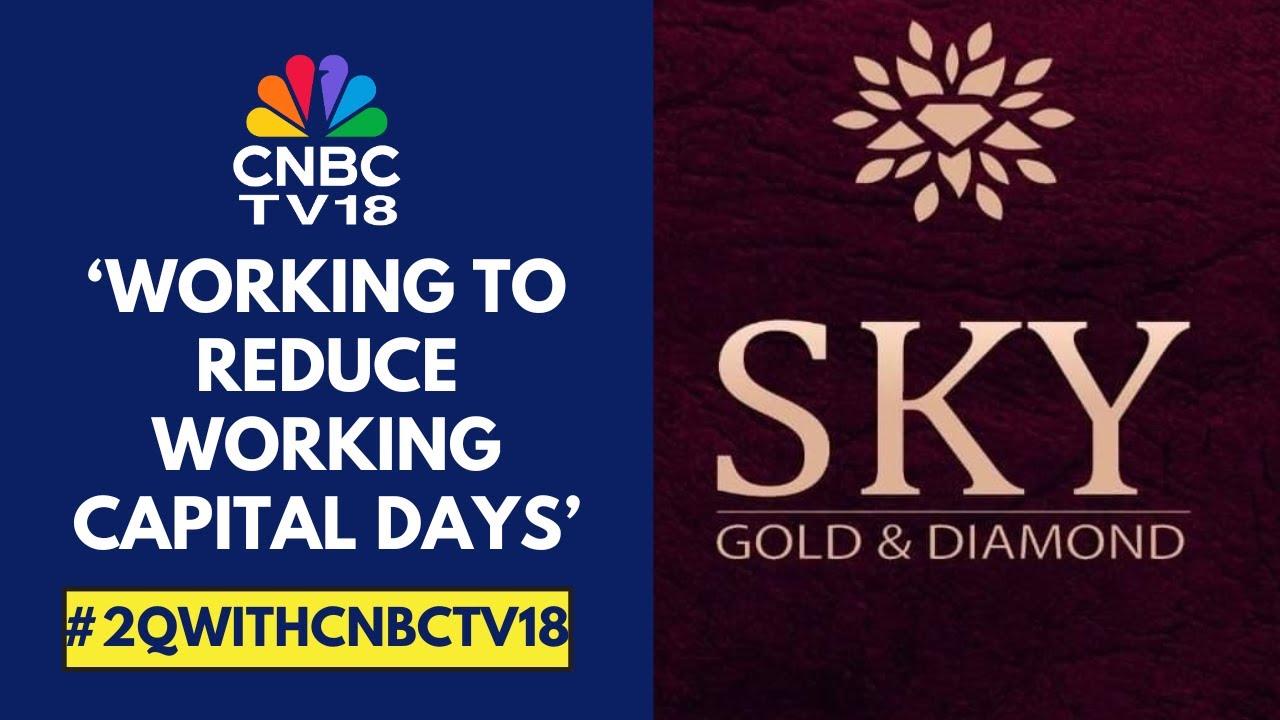 Денежный поток от операций станет положительным с 2027 финансового года: Sky Gold & Diamonds | CN...