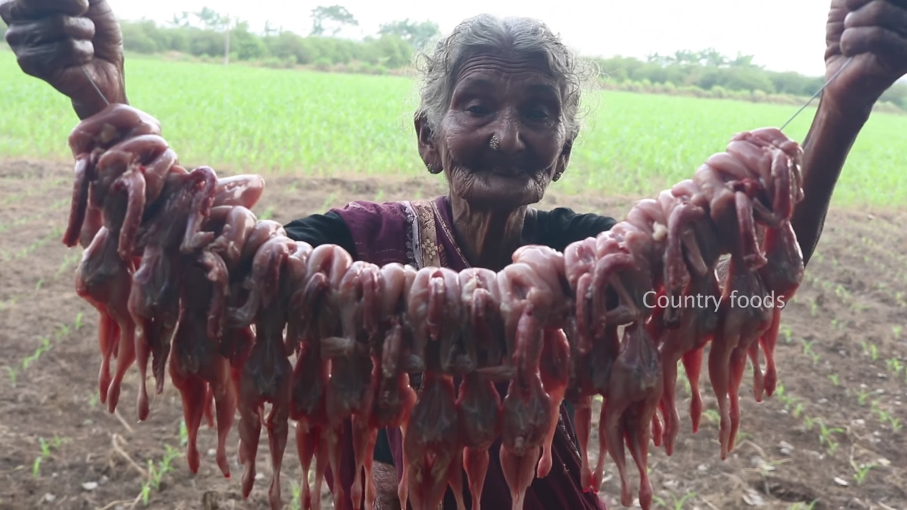 My 105 years Grandma's Tasty Quail Fry Recipe || Angry Bird Fry By My Grandma's || Country Foods