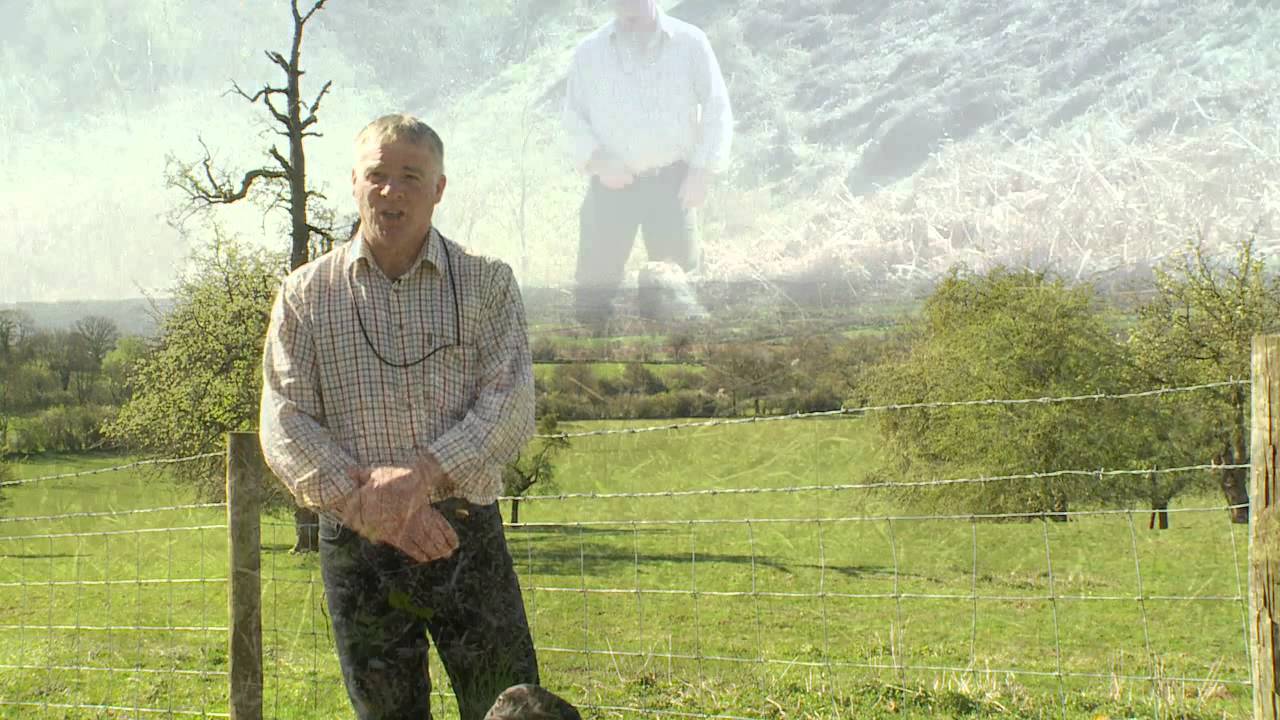 Gundog Training at Shropshire Gundogs