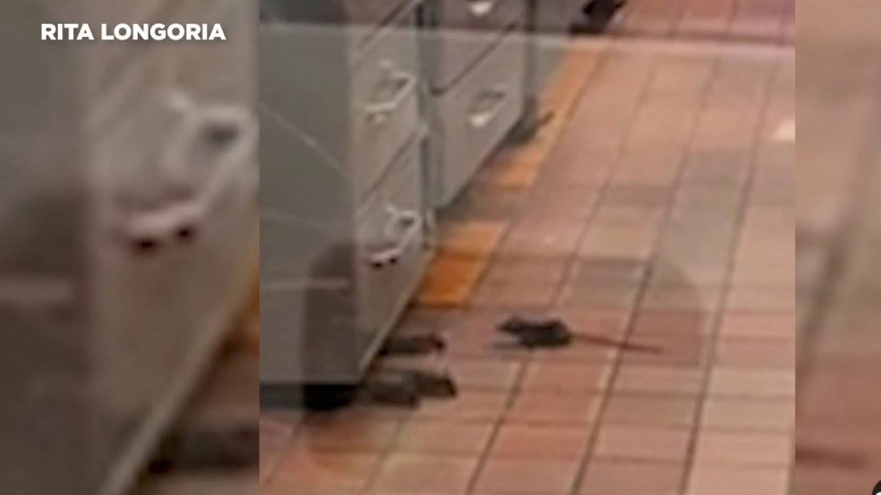 Woman records video of rats running around Taco Cabana location in Leon Valley