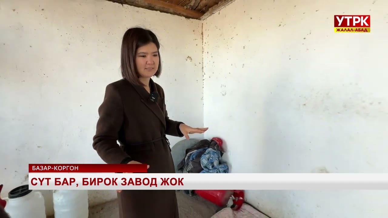 Сүт бар, бирок завод жок
