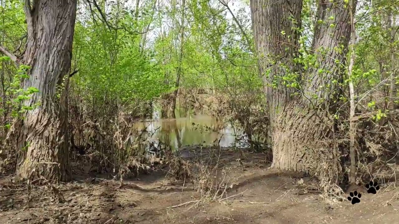 Красный Яр Кувандык