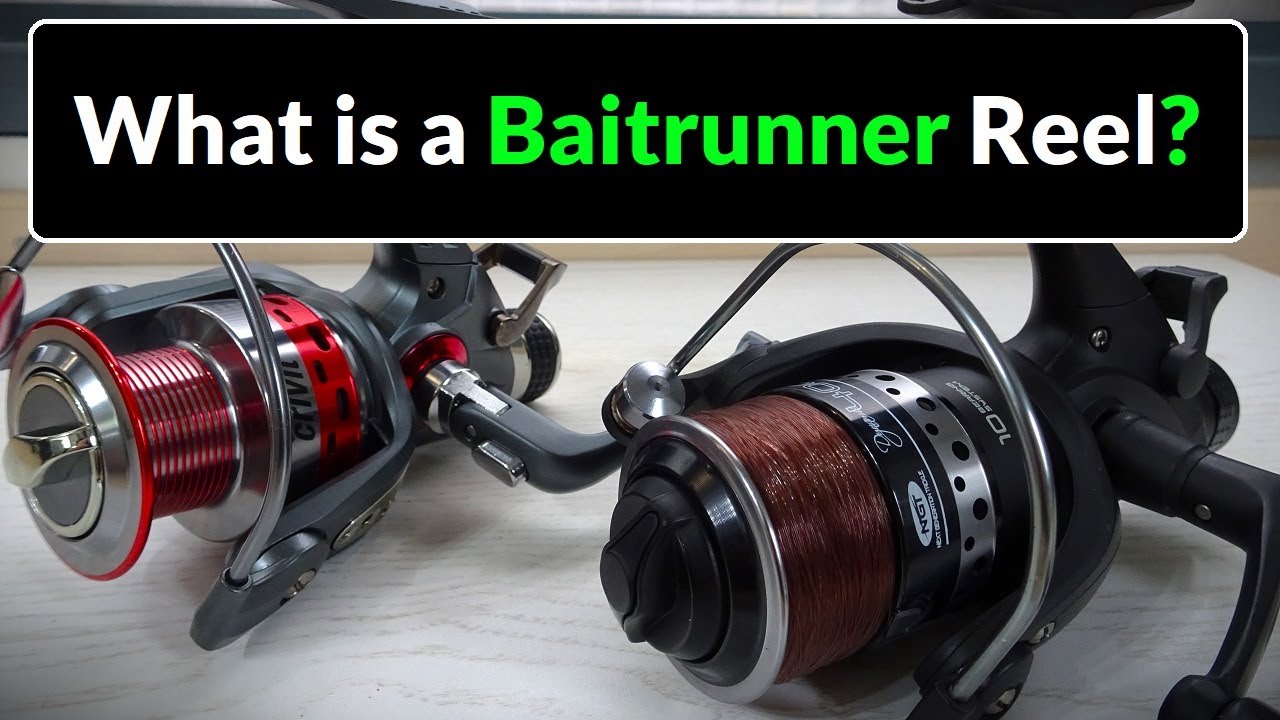 Катушки Baitrunner / Freespool — описание (ловля карпа для начинающих)
