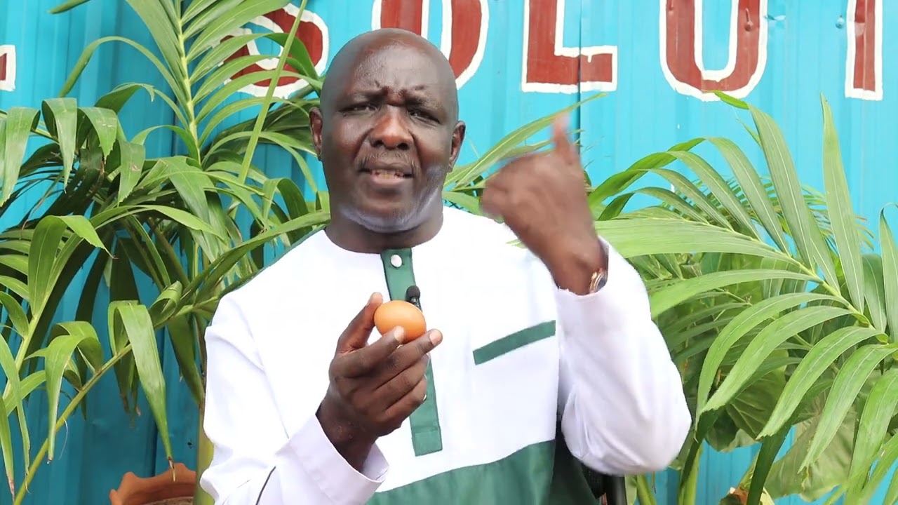 NEW DIMENSION TO GET RESULTS I IMMEDIATELY