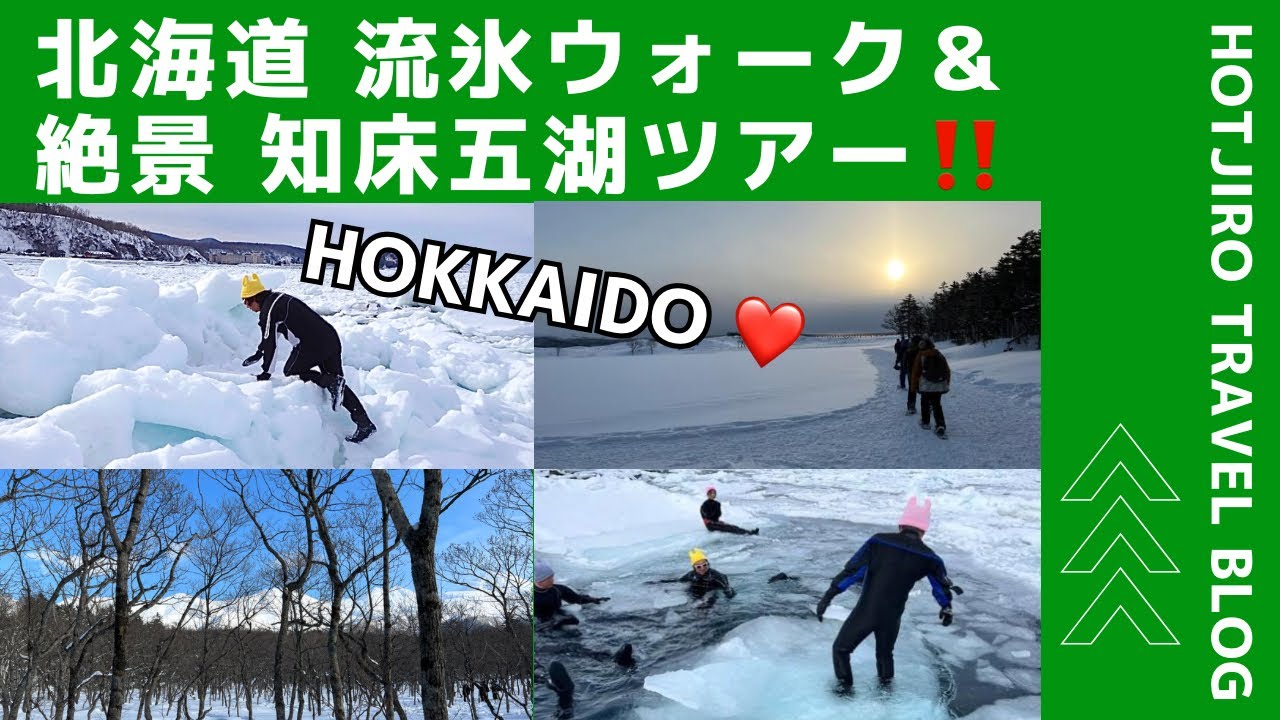 絶景‼️流氷ウォークと知床五湖ツアー