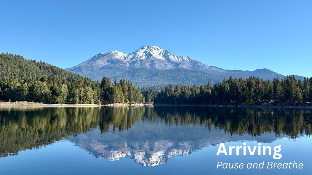 One Minute Heartful Pause | Arriving — A Gentle Mindfulness Meditation