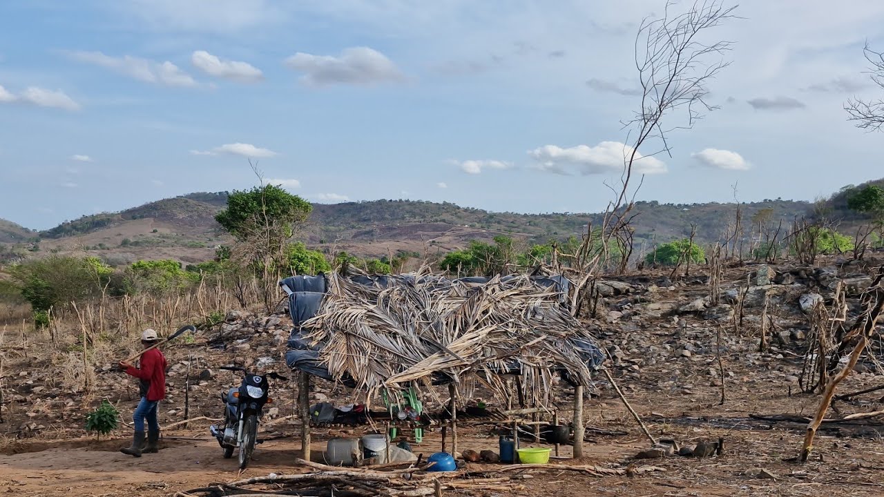 Vida simples na roça, veja o que fizemos hoje na roça muito trabalho graças a Deus tamos terminando 